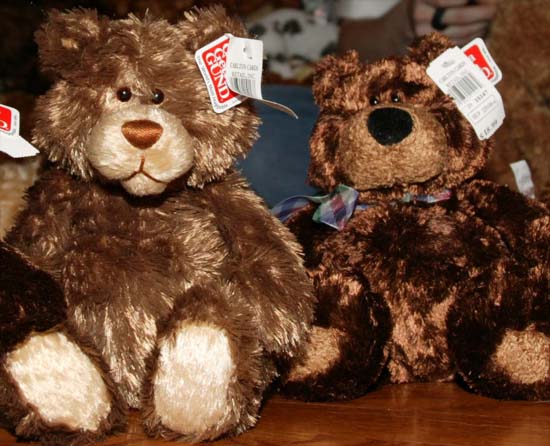 TEDDY BEAR PROJECT II - March 2005